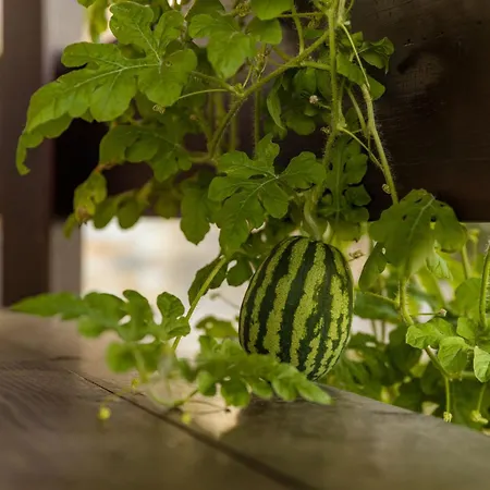 Galani Agios Stefanos アパート ヴォロス