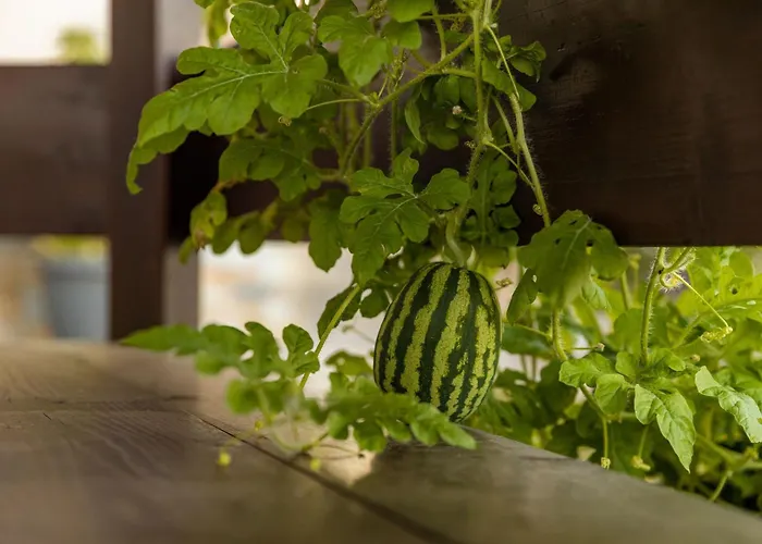 Galani Agios Stefanos Lejlighed Volos